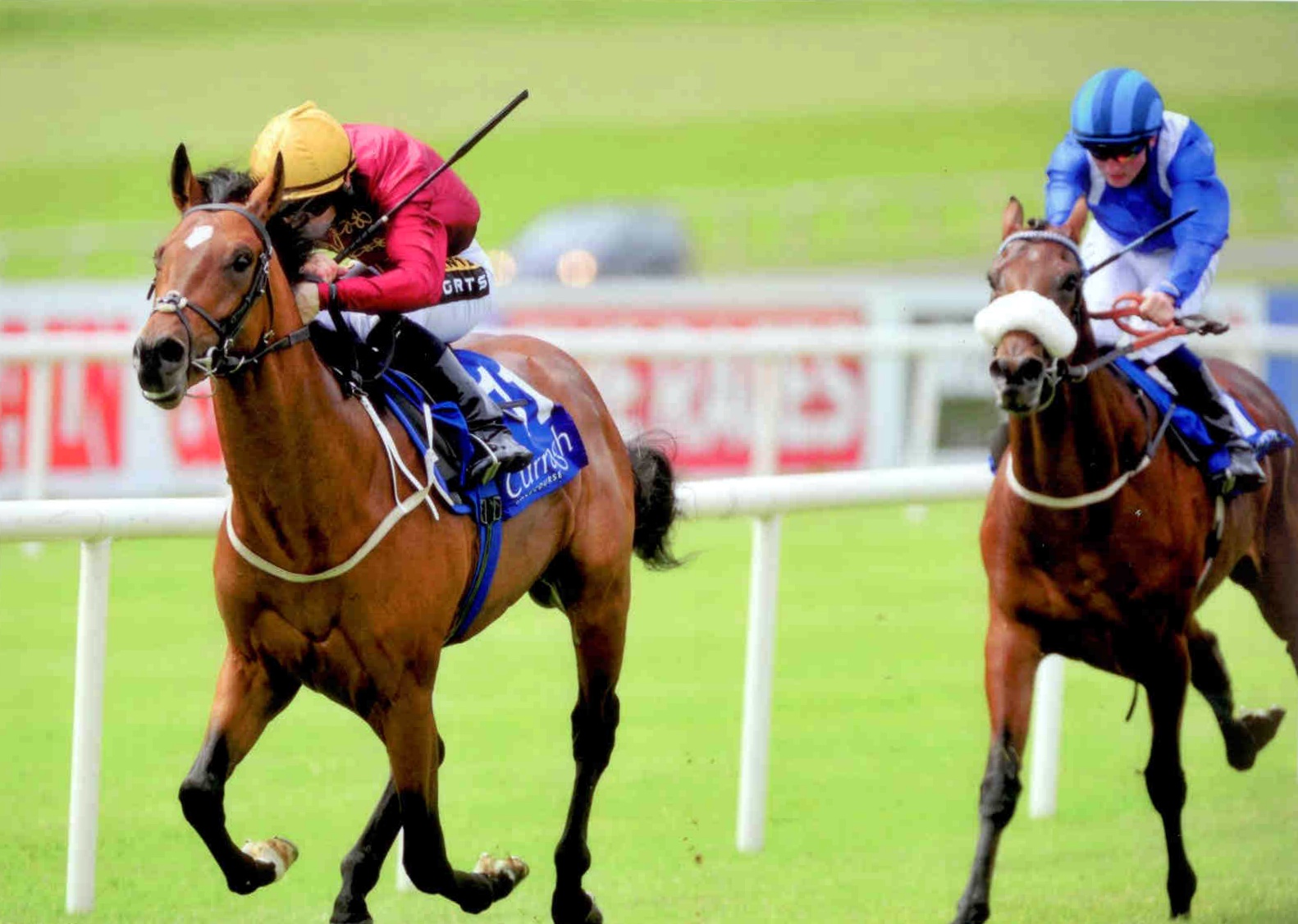 RESTIVE wins the competitive Anglesey Lodge Equine Hospital Maiden at the Curragh 9th Aug 2015